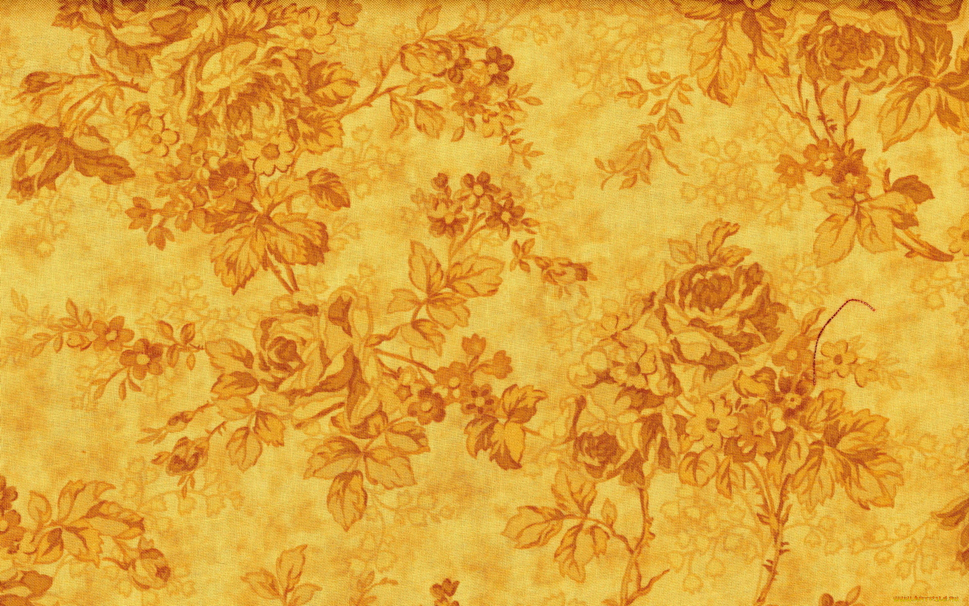  ,  , flowers, , , 